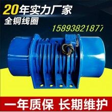 ZDS-50-6三相振動(dòng)電機(jī) 6級3.7KW全銅線圈