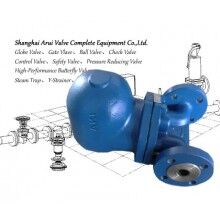 FIG.CTIHC、FIG.CTIV杠桿浮球式疏水閥