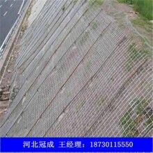  護坡網_生態(tài)護坡網_柔性護坡網生產廠家及規(guī)格